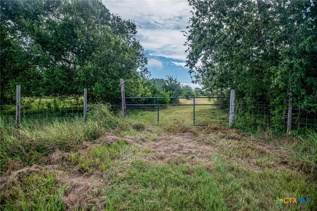 a view of a backyard with a lake view