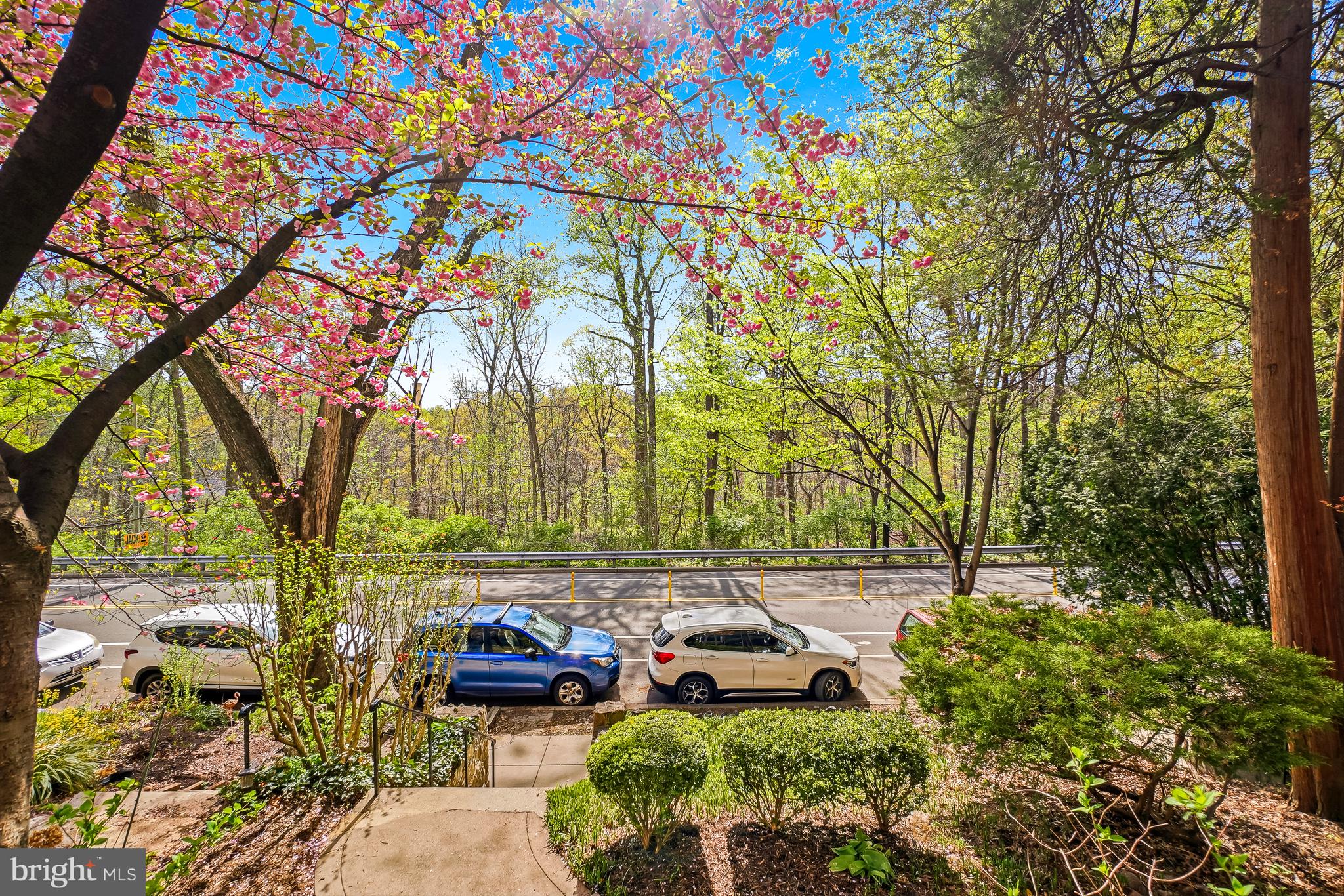 3159 Adams Mill Road Northwest Washington, DC 20010 - Photo 6 of 47