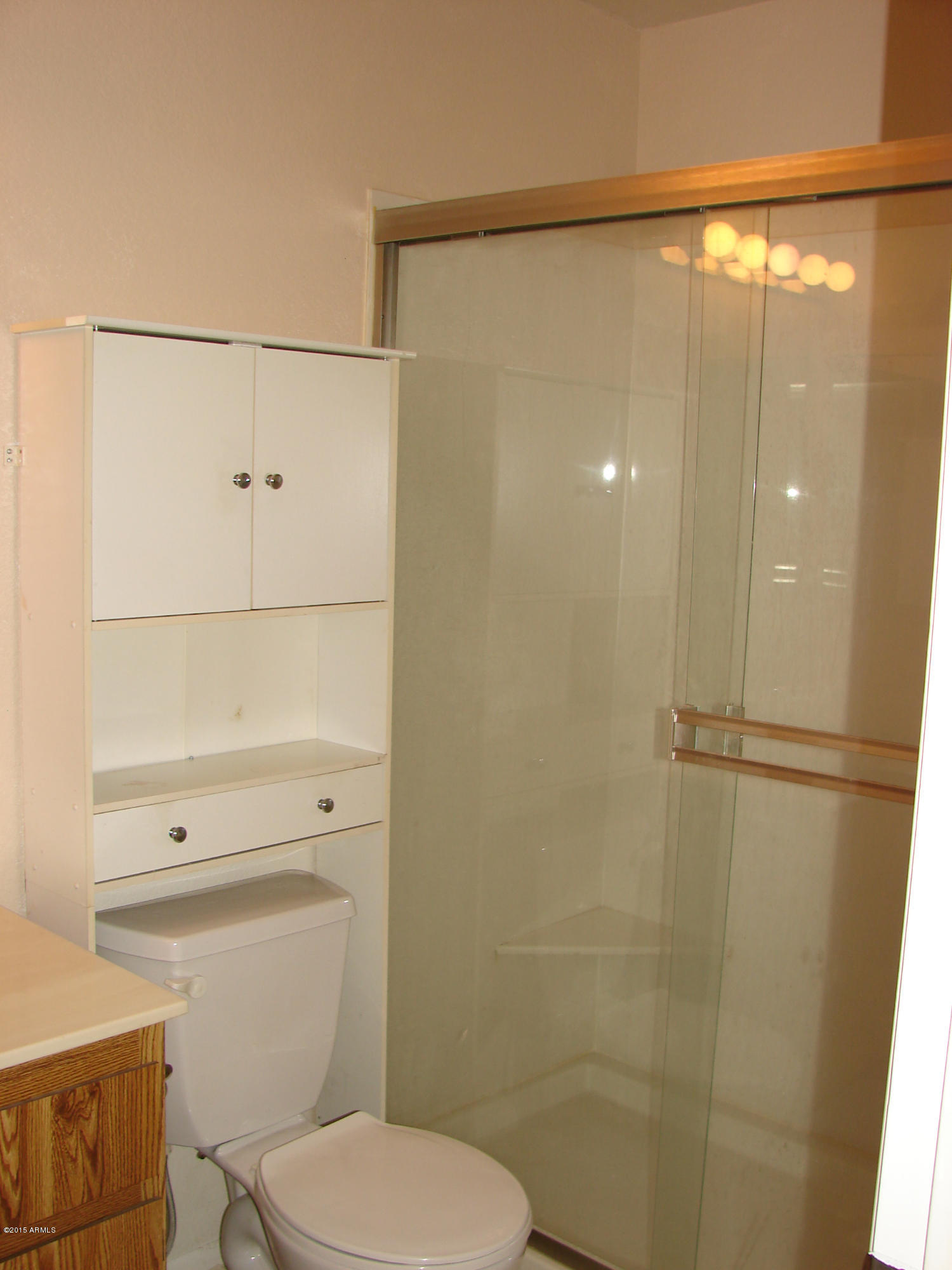 97 North Cooper Road, Unit 101 Chandler, AZ 85225 - Photo 7 of 10 DSC04060