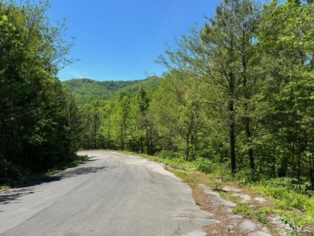 2481 Happy Hollow Road Sevierville, TN 37862 - Photo 2 of 30 Gallery Image 2