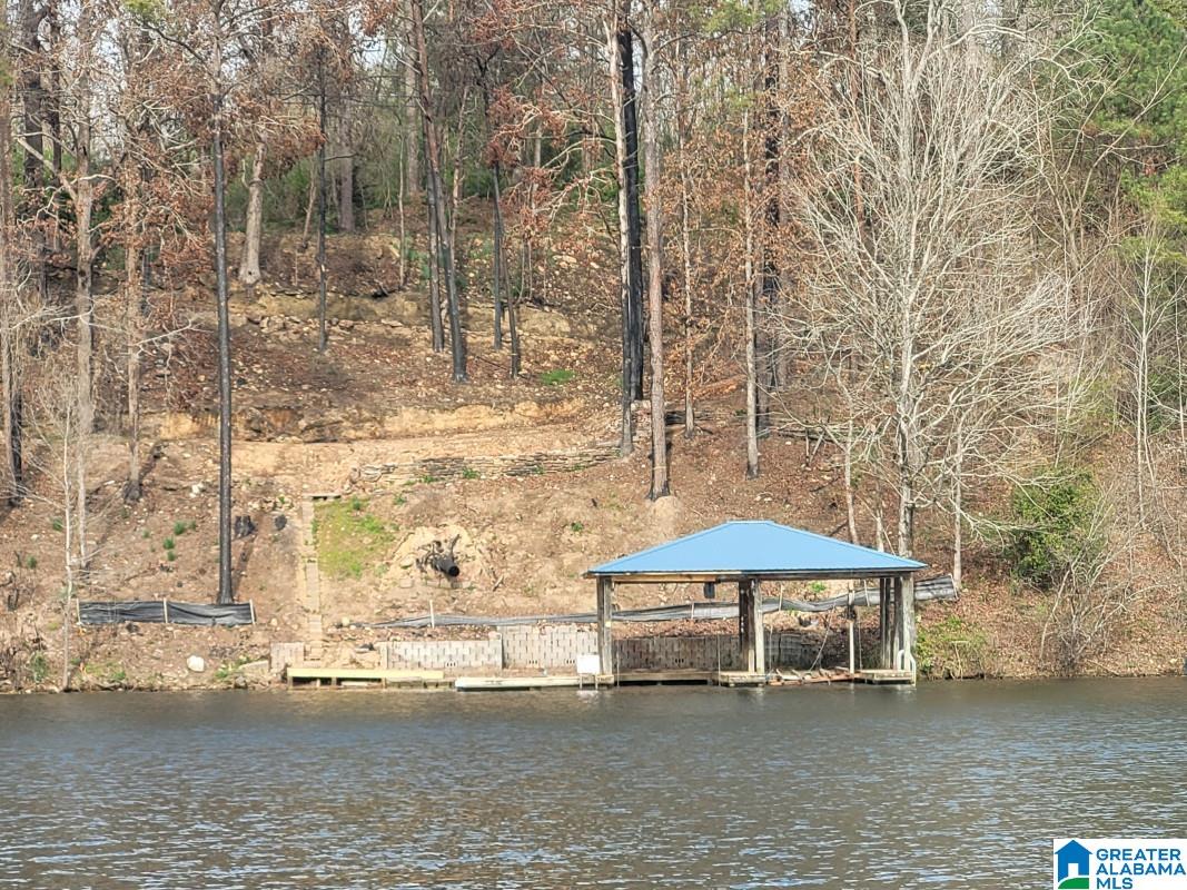 540 Lakeshore Lane Oneonta, AL 35121 - Photo 3 of 5