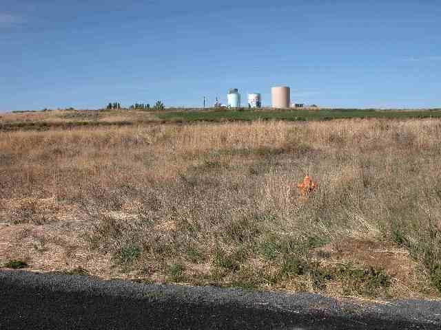 0 Greenleaf Malin, OR 97632 - Photo 1 of 1 Primary Photo