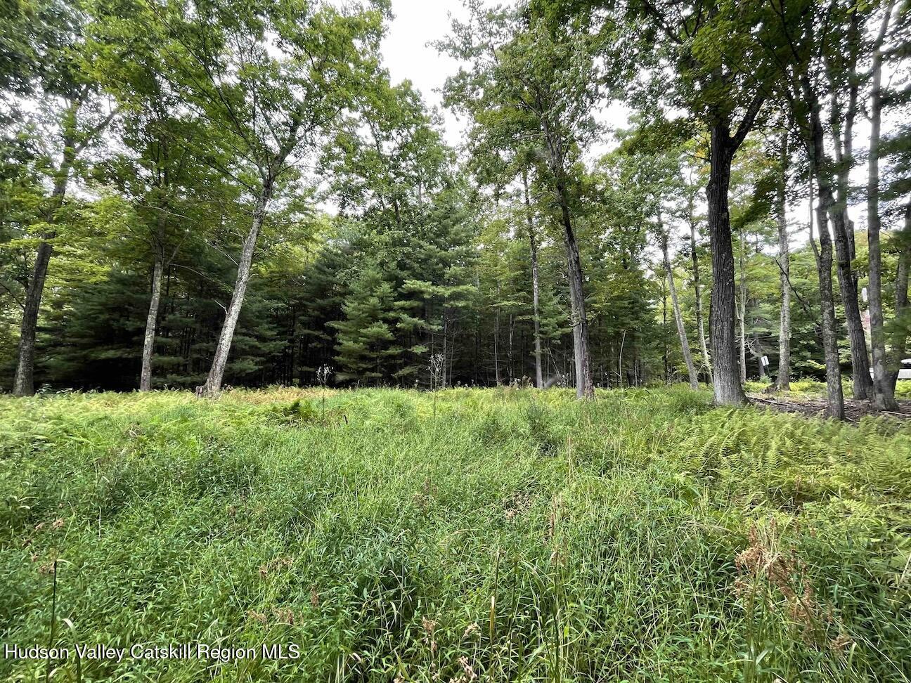 0 Oak Ridge Road Ellenville, NY 12428 - Photo 3 of 18 Hill10ac2