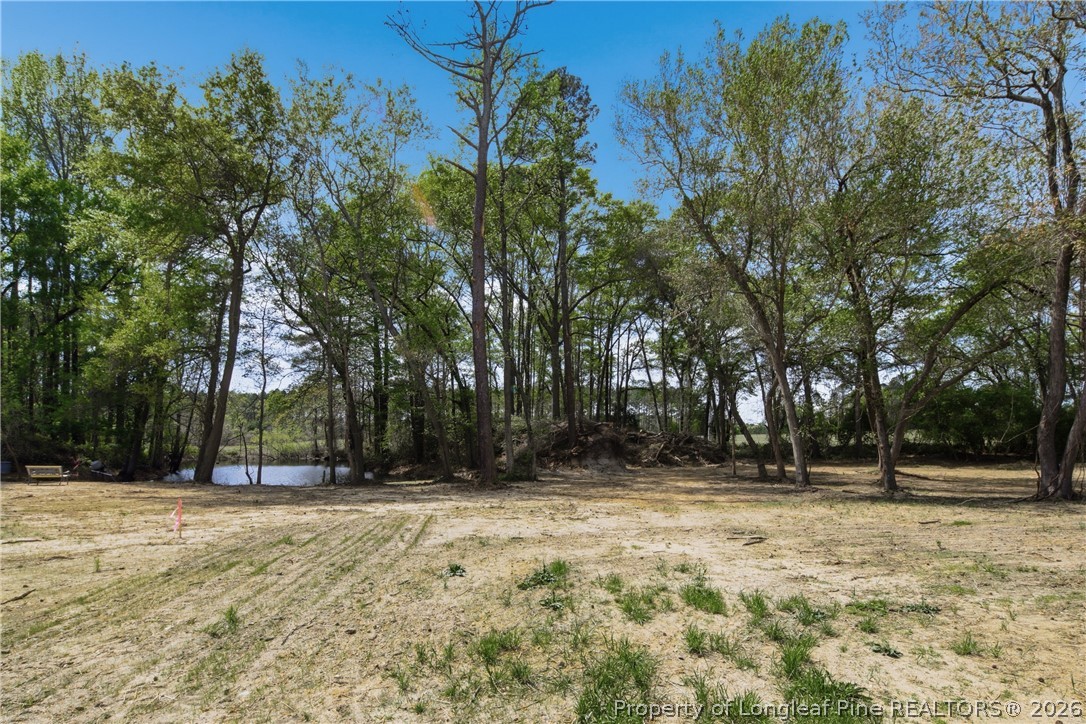 3187 Leaflet Church Road Broadway, NC 27505 - Photo 25 of 27 a view of outdoor space with trees