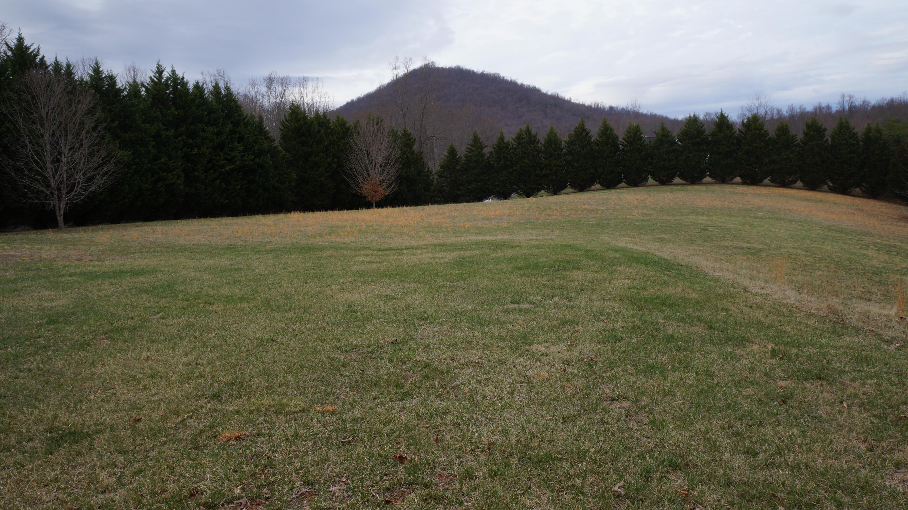 2800 Nemmo Road Vinton, VA 24179 - Photo 6 of 11 a view of outdoor space and yard