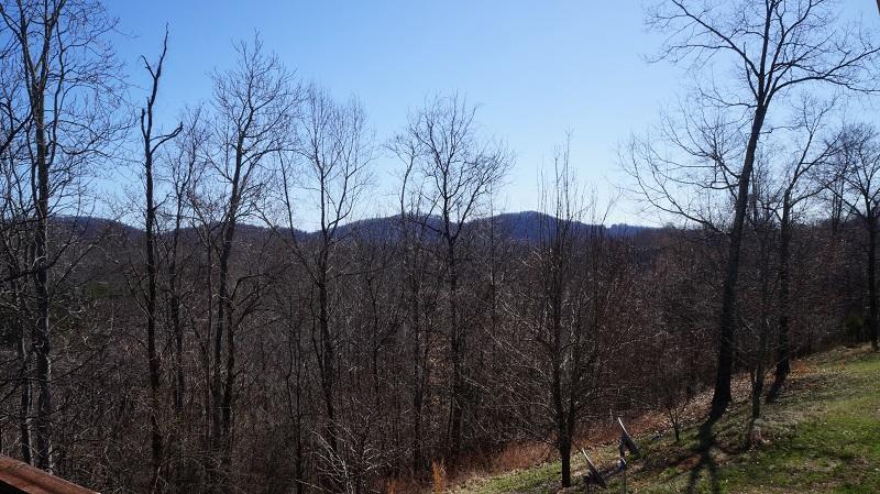 2800 Nemmo Road Vinton, VA 24179 - Photo 7 of 11 a view of a large tree