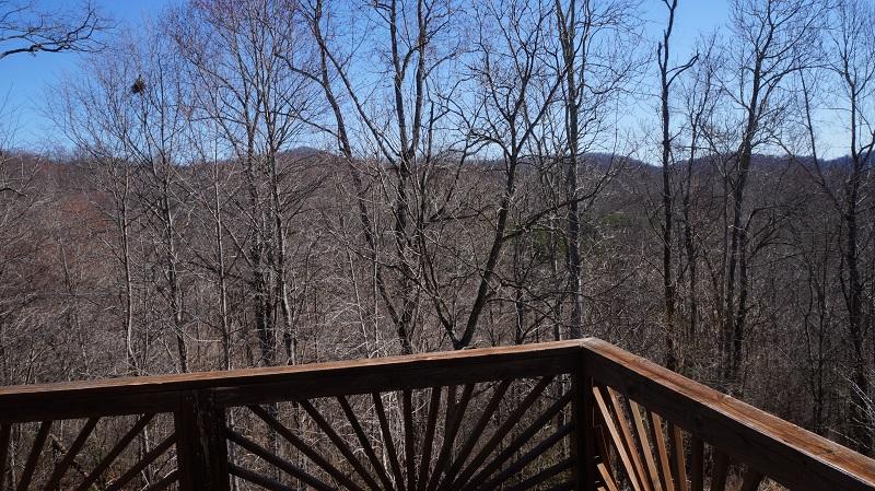 2800 Nemmo Road Vinton, VA 24179 - Photo 8 of 11 a view of stairs and trees