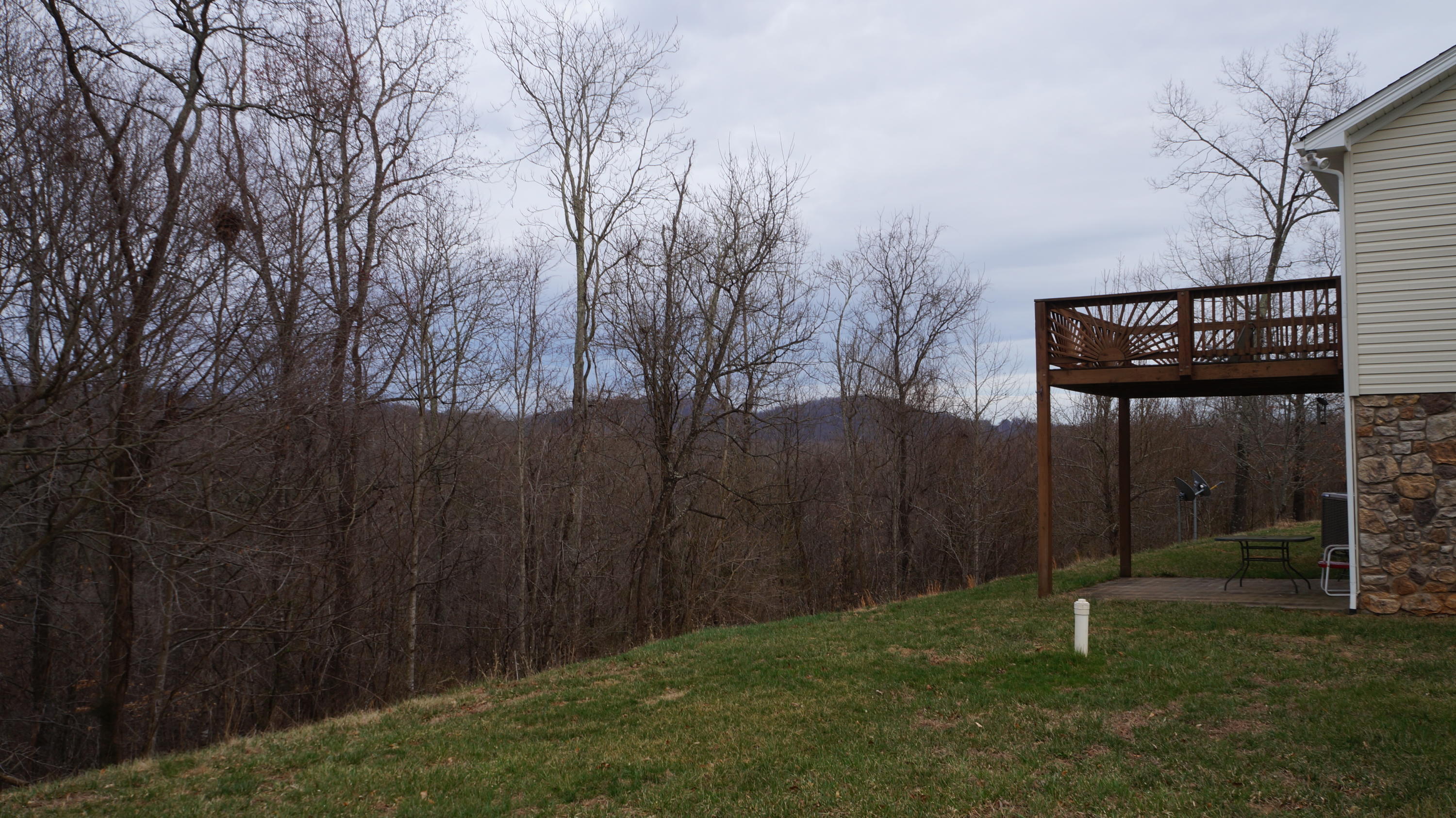2800 Nemmo Road Vinton, VA 24179 - Photo 10 of 11 a backyard of a house with lots of green space and road