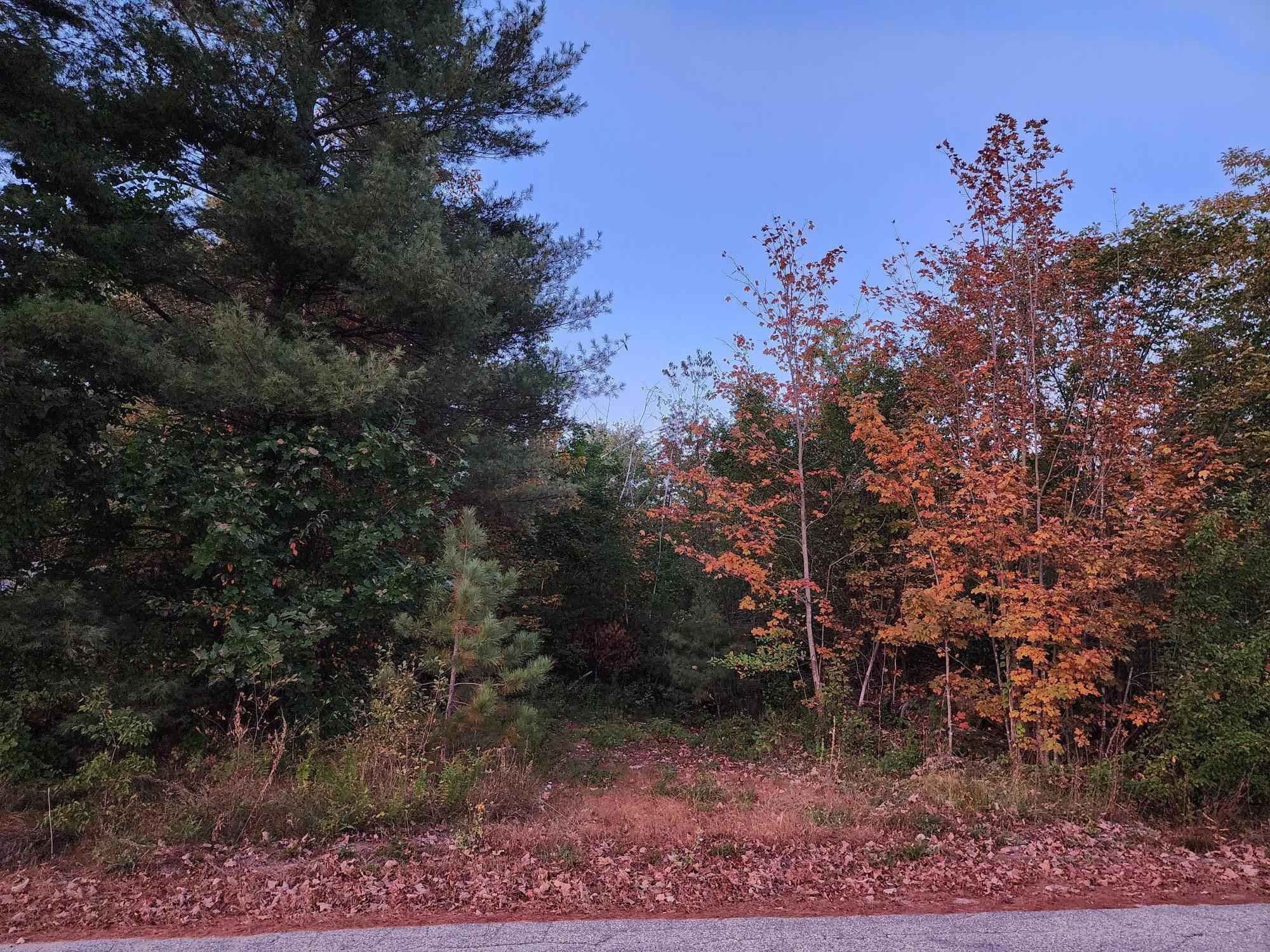 Lot #1 Jackson Crossing Road South Paris, ME 04281 - Photo 4 of 10