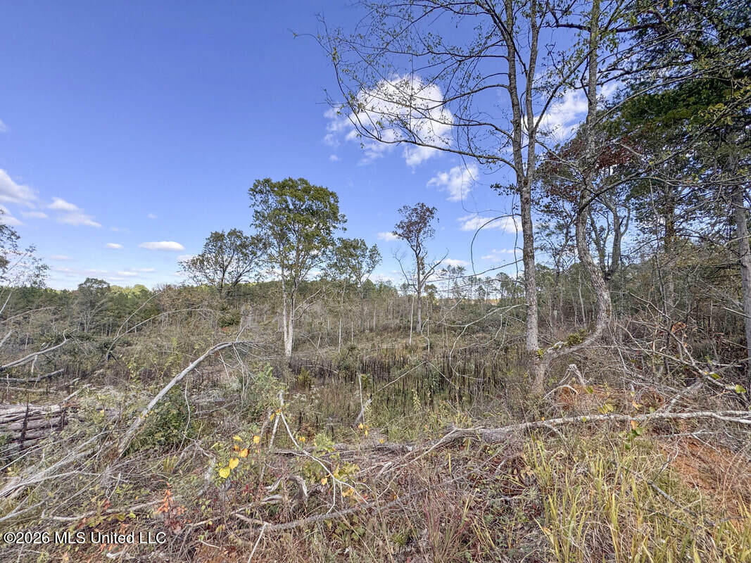 154 County Road Tillatoba, MS 38961 - Photo 42 of 58 4kgrdnyba6-orig_orig