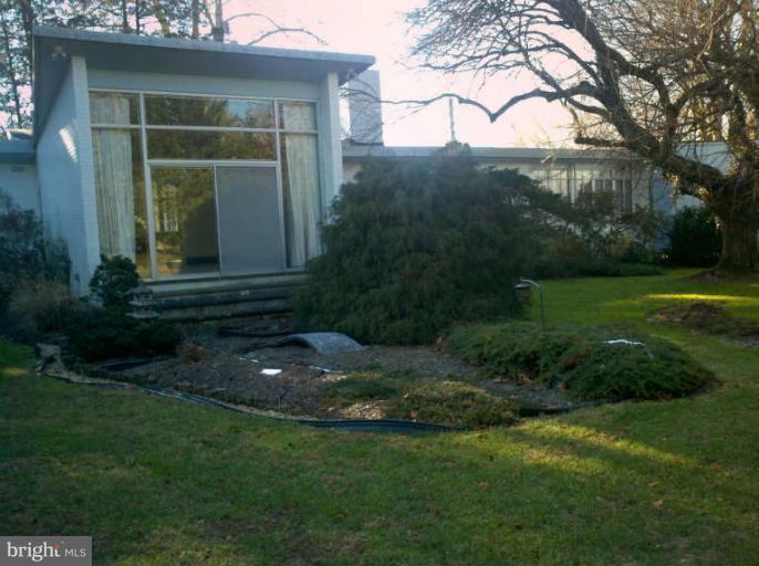 10530 Stevenson Road Stevenson, MD 21153 - Photo 6 of 29 a view of a backyard with plants and large trees