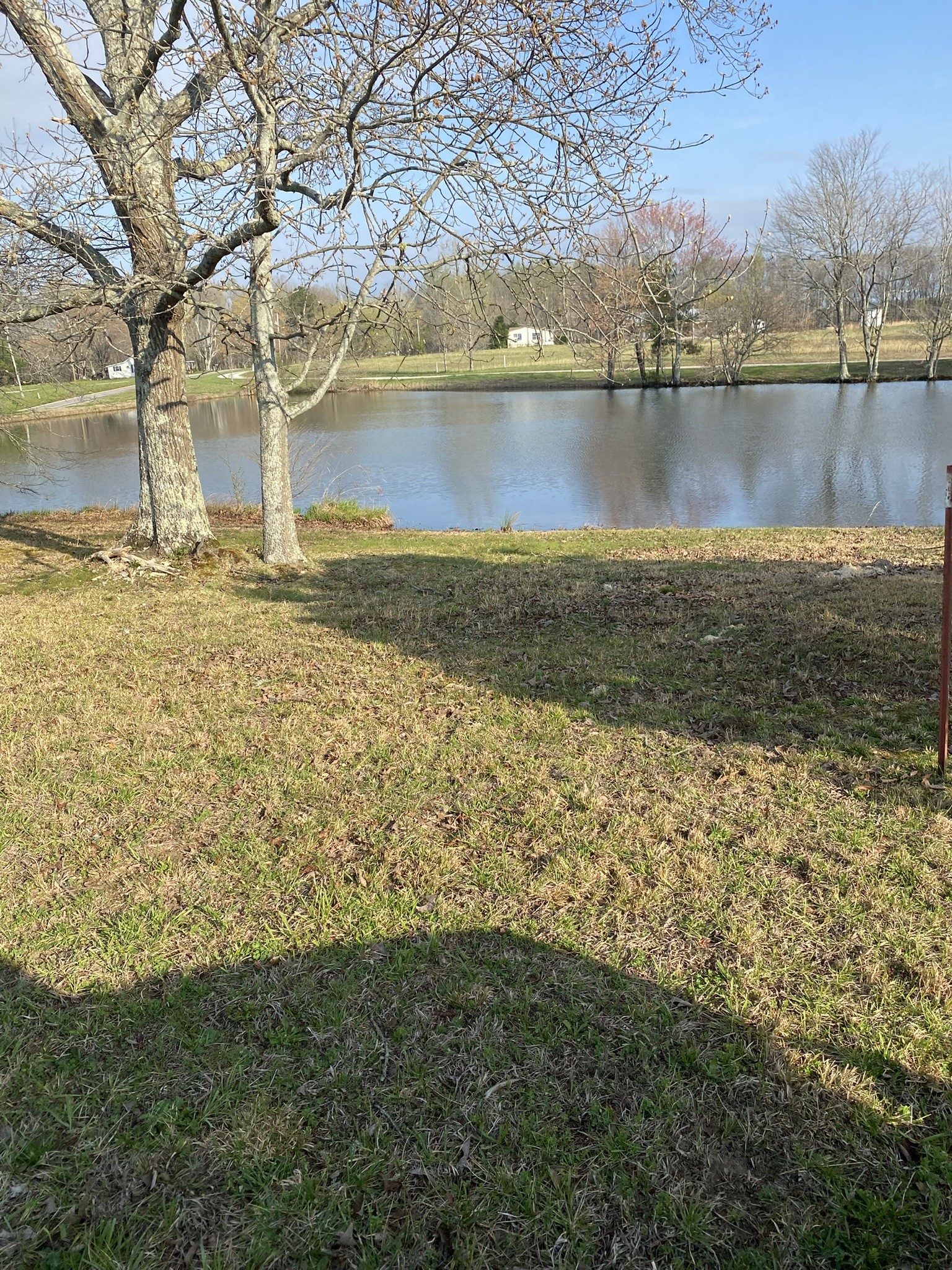 0 White Road Pulaski, TN 38478 - Photo 8 of 16 Gallery Image 8