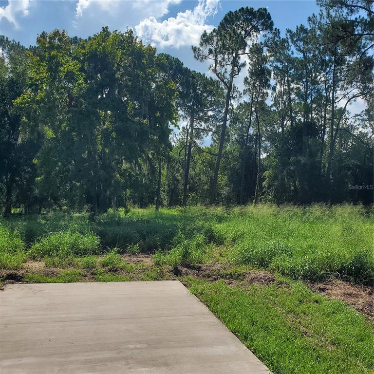 Pollard Road Winter Haven, FL 33884 - Photo 6 of 17 a view of backyard with green space