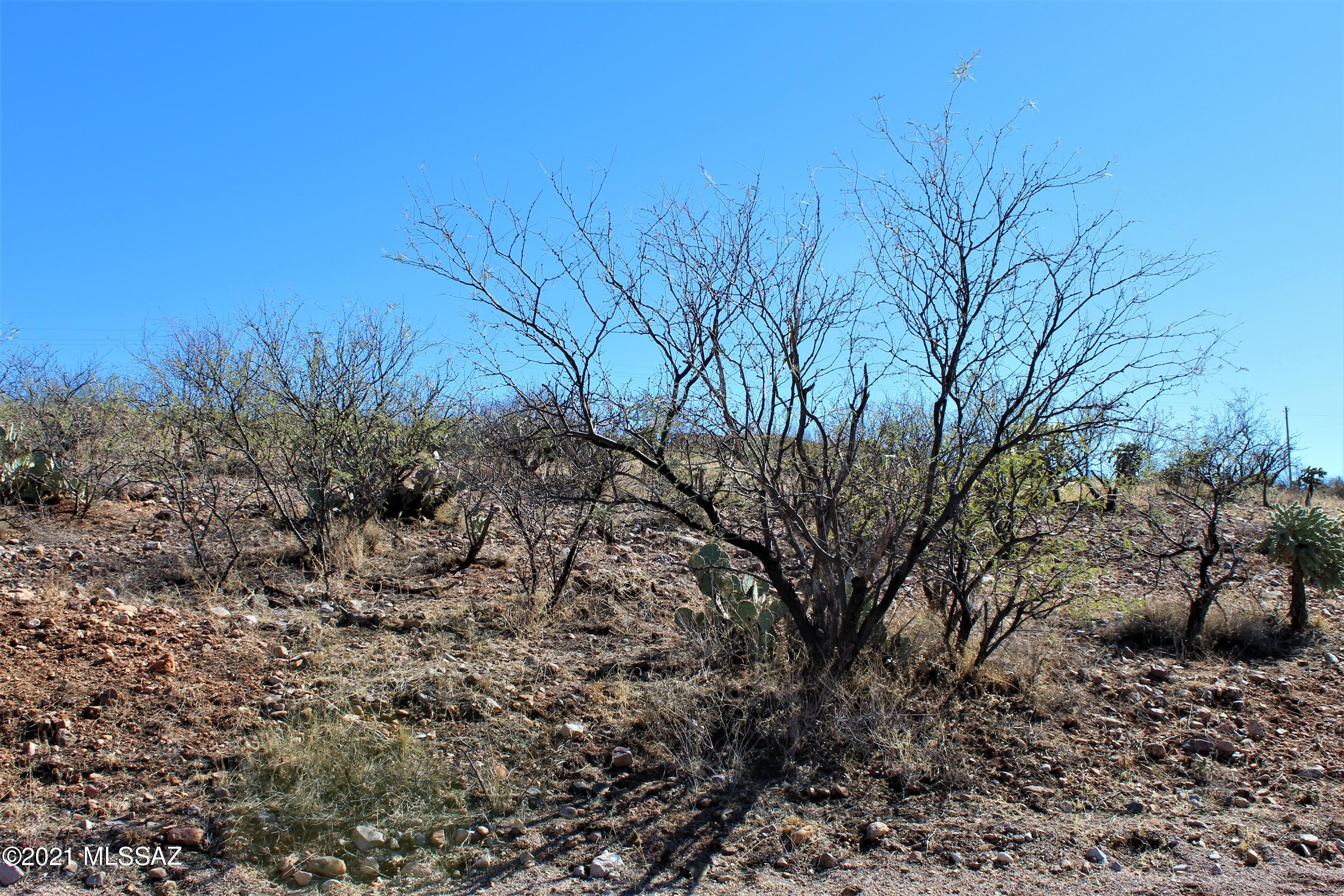 1202 Circulo Golfo, Unit 9 Rio Rico, AZ 85648 - Photo 7 of 9