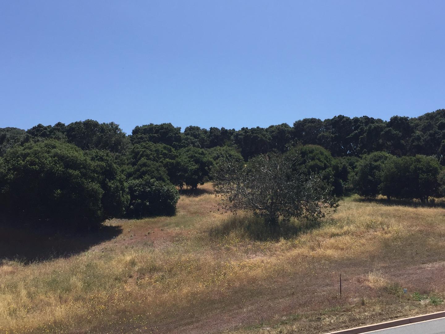 8155 Manjares Road Monterey, CA 93940 - Photo 4 of 11 Gallery Image 4