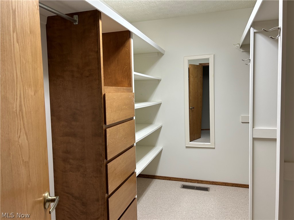 8763 Timber Edge Drive North Ridgeville, OH 44039 - Photo 20 of 40 Spacious closet with carpet floors