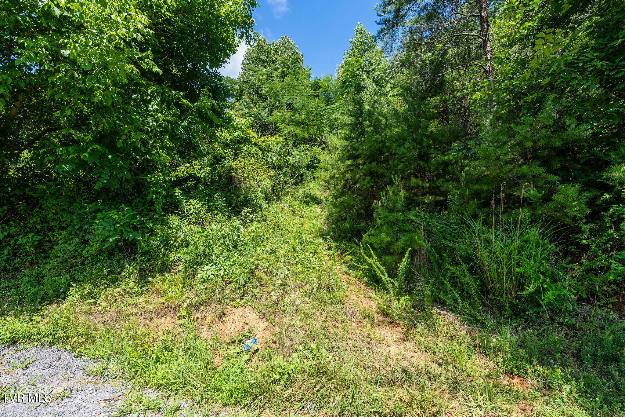 582 Brooks Road Sneedville, TN 37869 - Photo 24 of 27 DSC07296