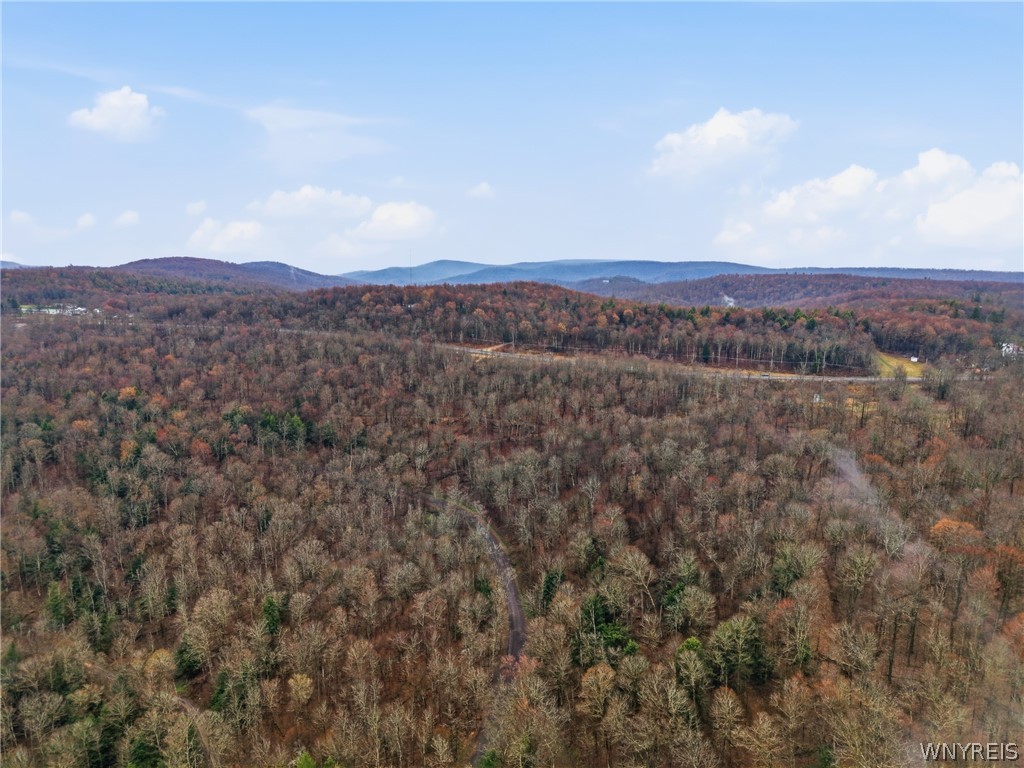 16 South Nys Route Olean, NY 14760 - Photo 15 of 15