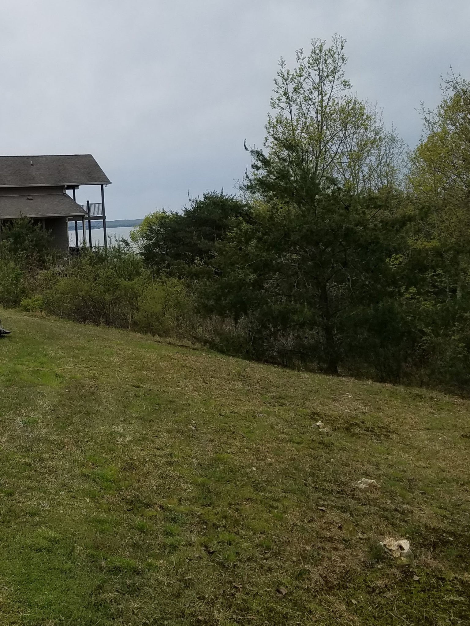 210 Turtle Point Lane Waverly, TN 37185 - Photo 3 of 21 Gallery Image 3
