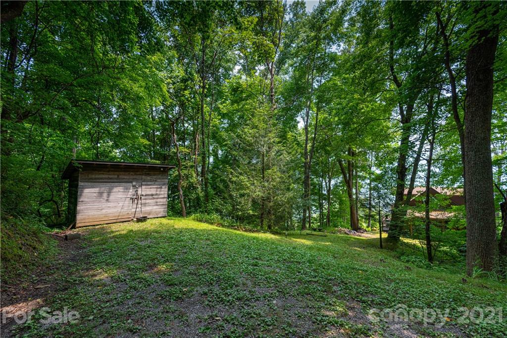 171 Jade Drive Clyde, NC 28721 - Photo 27 of 30 a view of a backyard with large trees