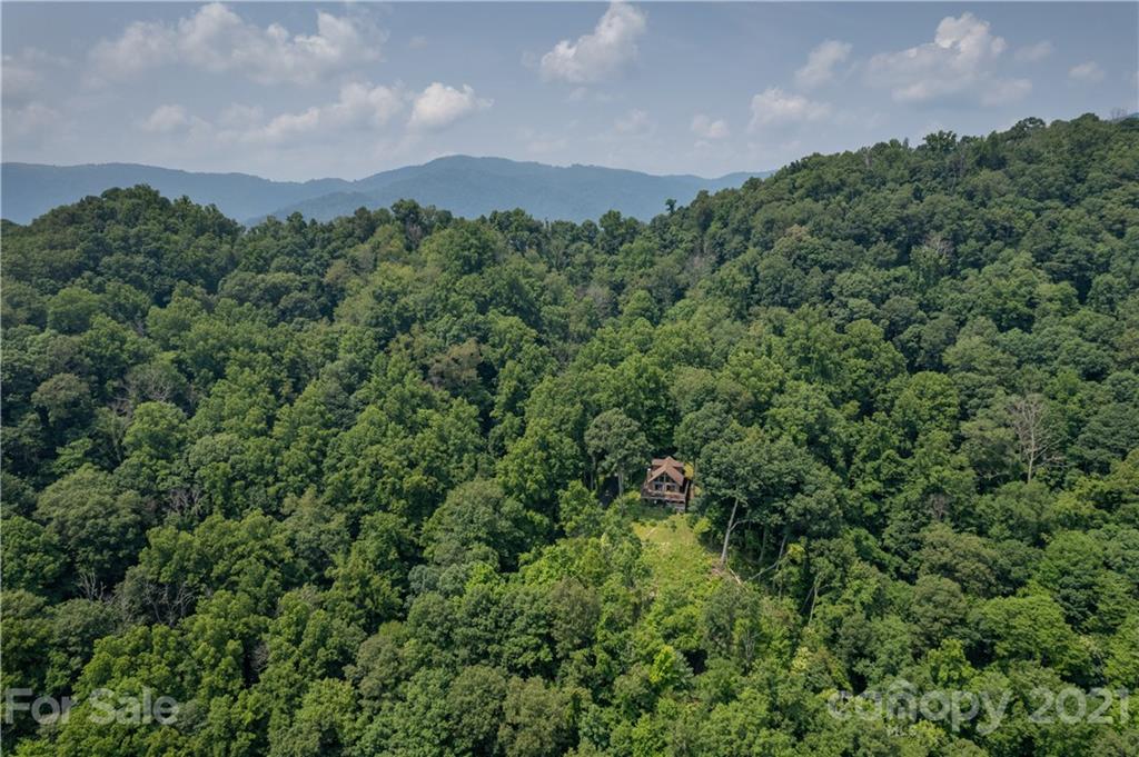171 Jade Drive Clyde, NC 28721 - Photo 30 of 30 an aerial view of a houses with a yard and lake