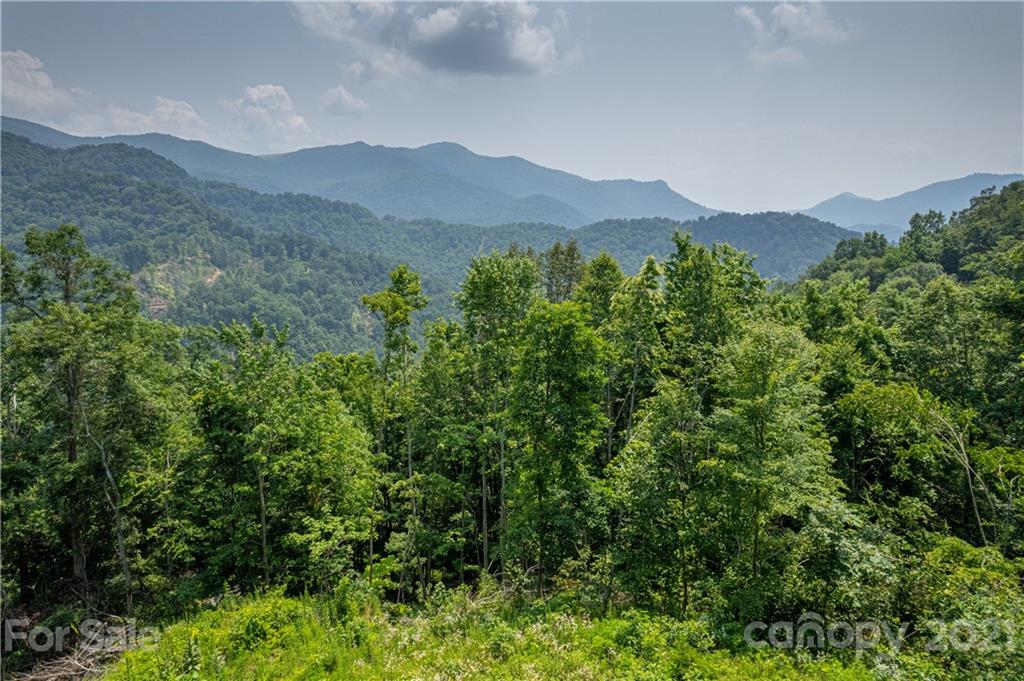 171 Jade Drive Clyde, NC 28721 - Photo 5 of 30 a view of a mountain range with lush green forest
