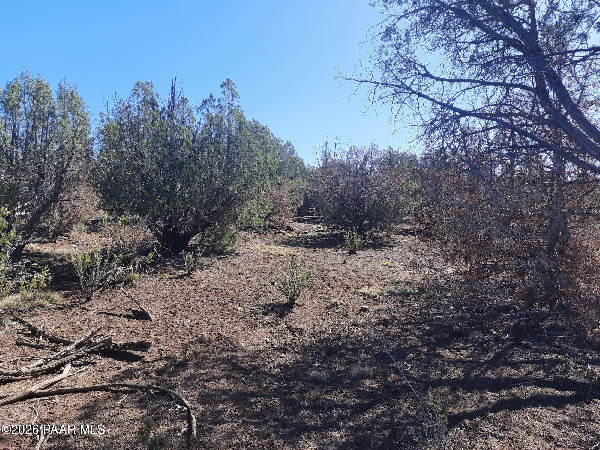 Lot 860 Fort Rock Road Kingman, AZ 86401 - Photo 11 of 20 a view of a dry yard with trees in the background