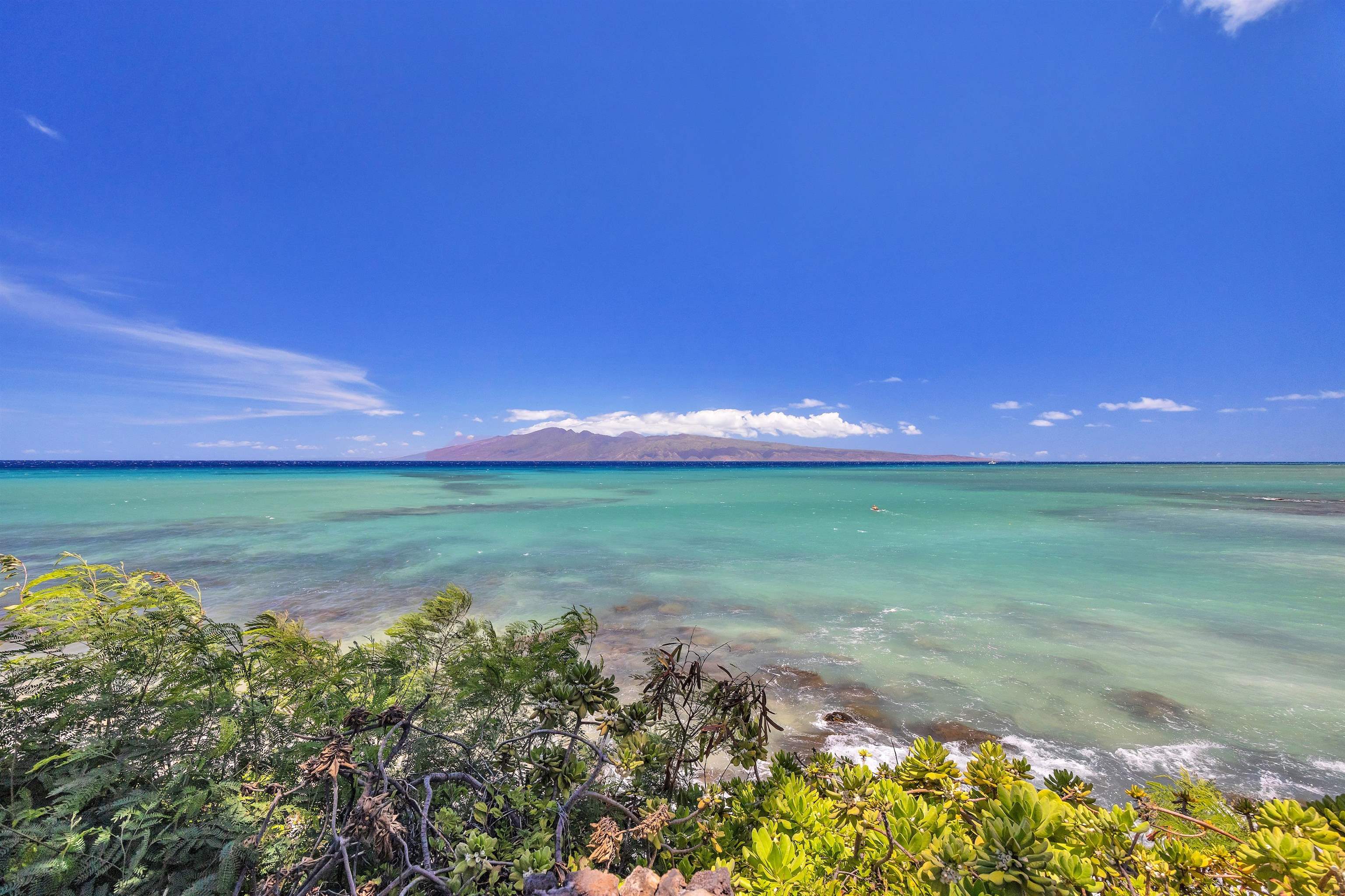 4095 Lower Honoapiilani Road, Unit 114B Lahaina, HI 96761 - Photo 17 of 18 a view of a field of grass and trees