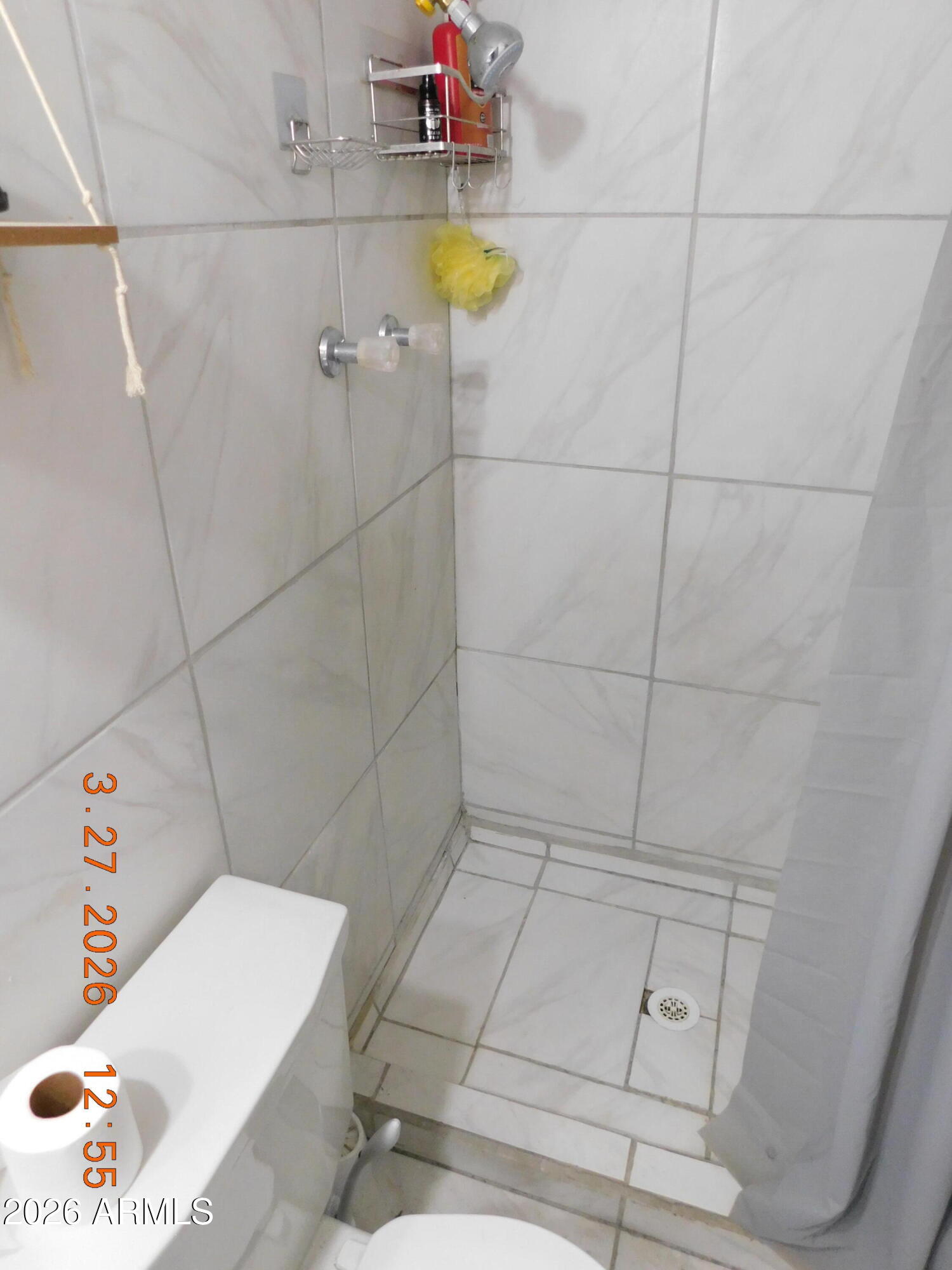 306 Danbury Road Kearny, AZ 85137 - Photo 26 of 59 Primary Bathroom Shower Area