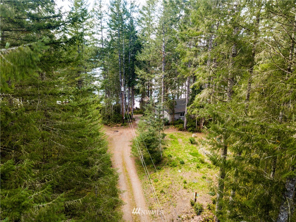 1991 Mason Benson Road East Grapeview, WA 98546 - Photo 8 of 25 Gallery Image 8