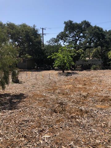 1278 East Valley Road Montecito, CA 93108 - Photo 20 of 21 IMG_7539