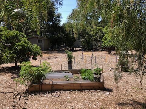 1278 East Valley Road Montecito, CA 93108 - Photo 21 of 21 IMG_7544