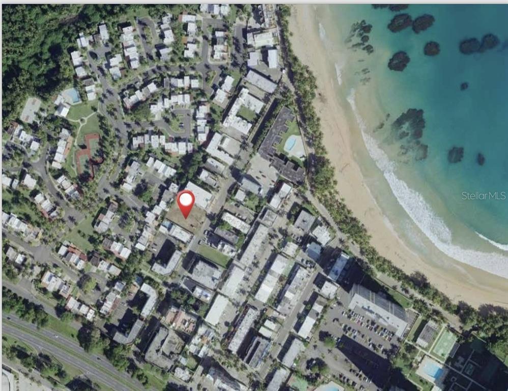 a city view with tall trees