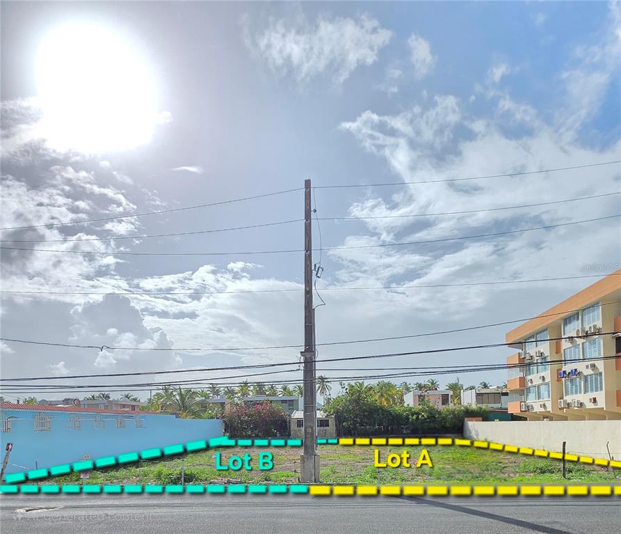 16 Ocean Drive Avenue, Unit LOTS A & B Luquillo, PR 00773 - Photo 5 of 15 a view of a street with a flower plants