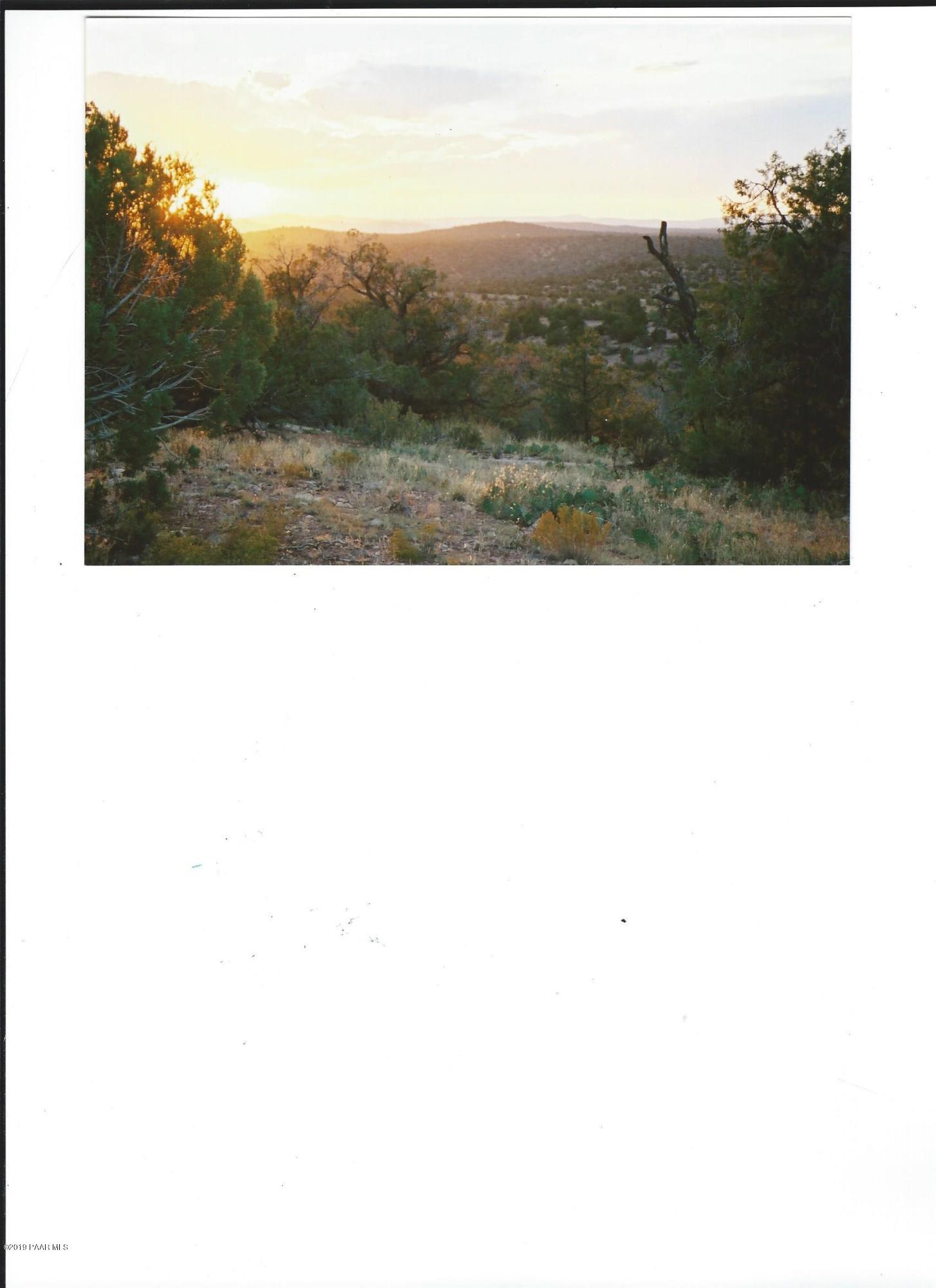 50 West Scorpion Road Ash Fork, AZ 86320 - Photo 3 of 8 Darwin Lot 50 (2)