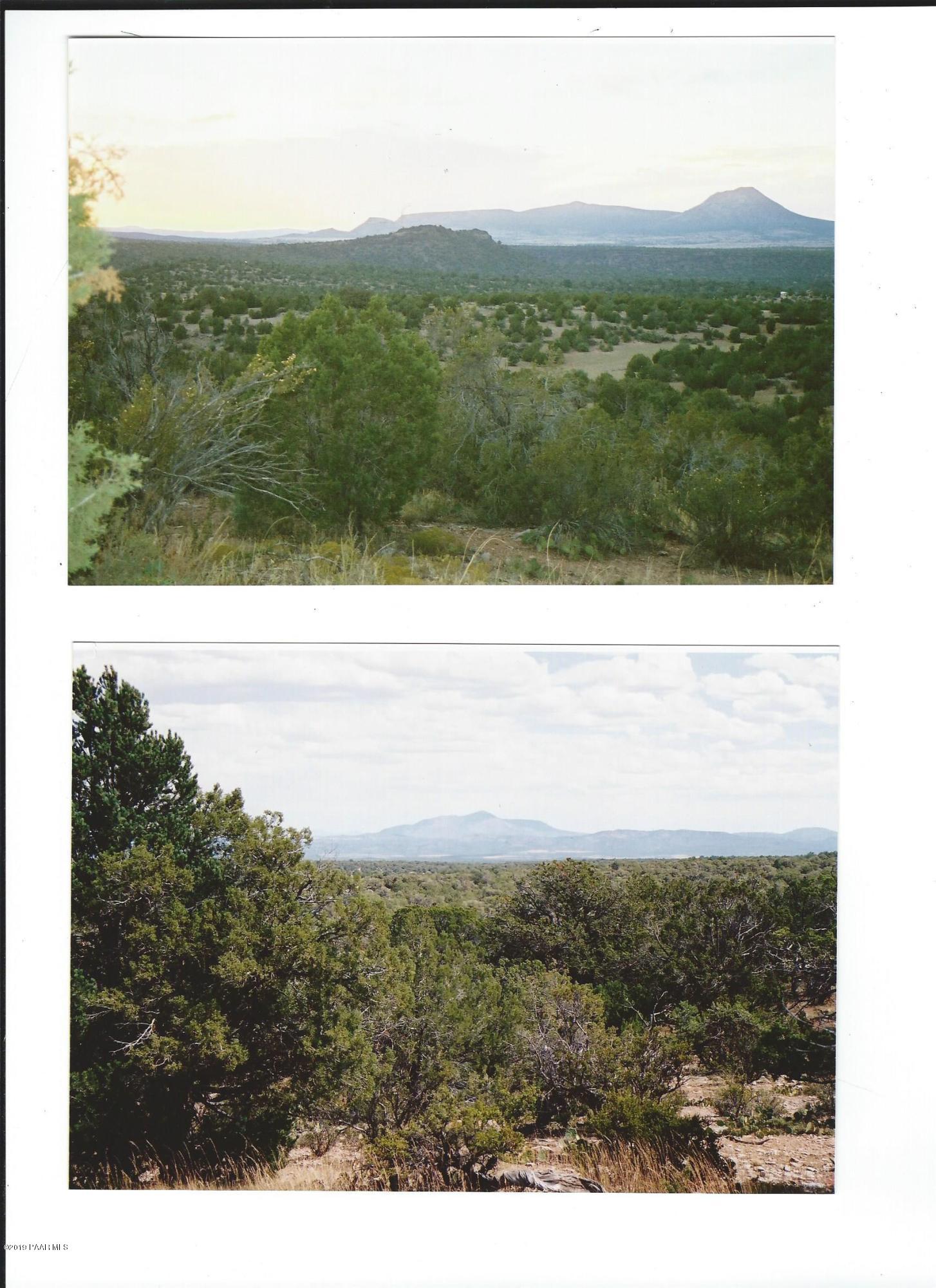 50 West Scorpion Road Ash Fork, AZ 86320 - Photo 5 of 8 Darwin Lot 50 (5)