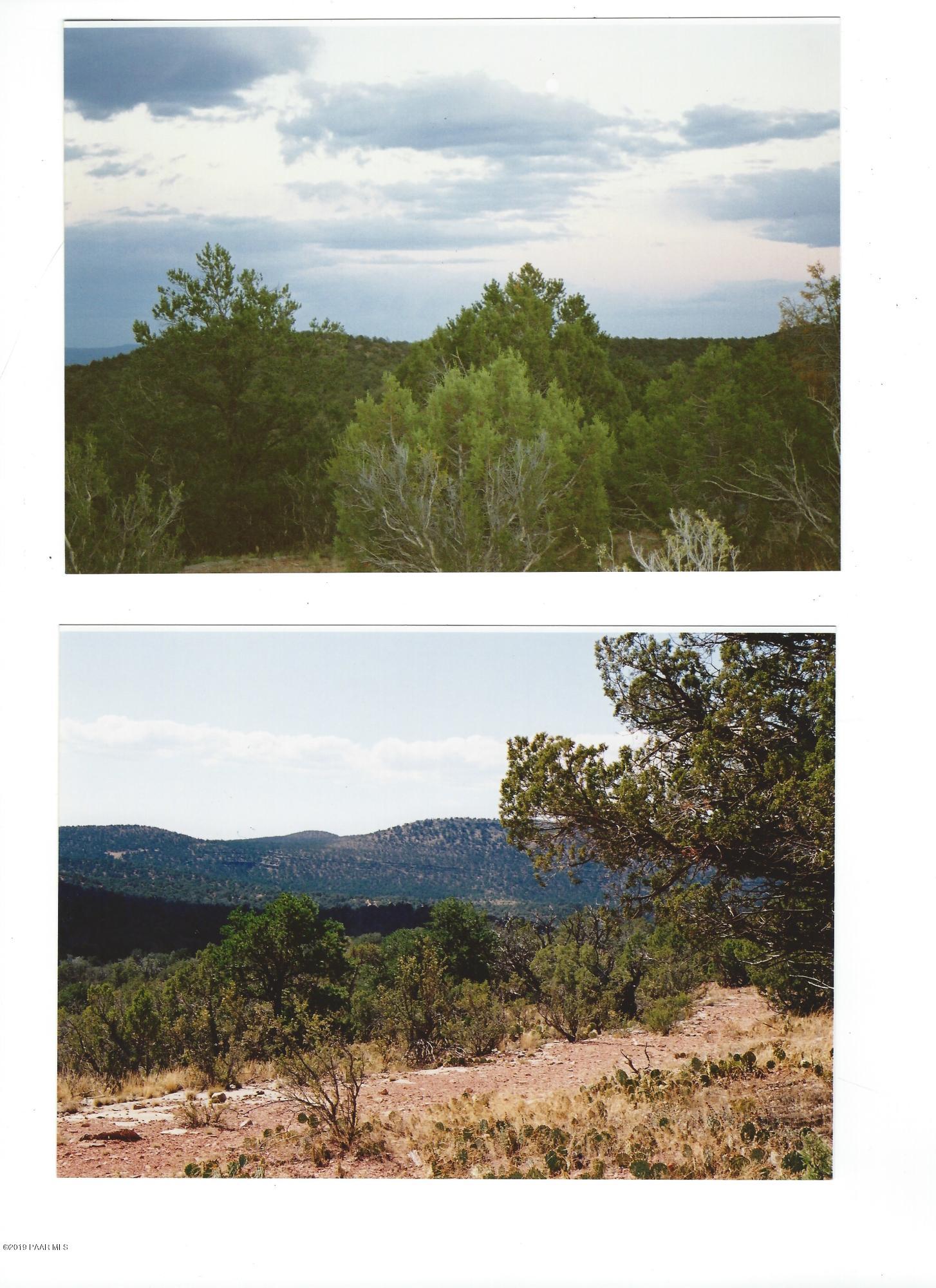 50 West Scorpion Road Ash Fork, AZ 86320 - Photo 6 of 8 Darwin Lot 50 (6)