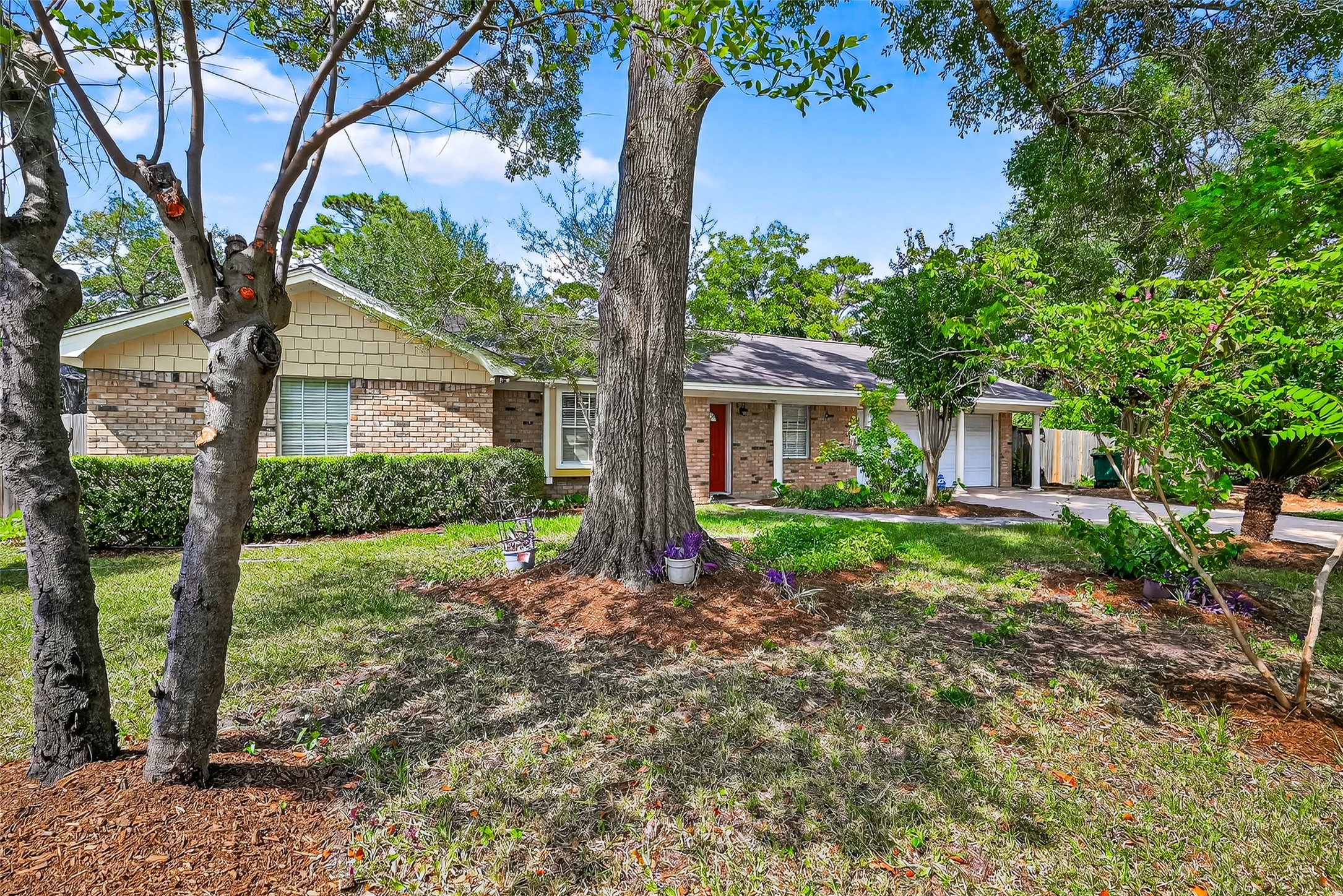 10302 Ivyridge Road Houston, TX 77043 - Photo 2 of 47 a view of a house with backyard and a tree