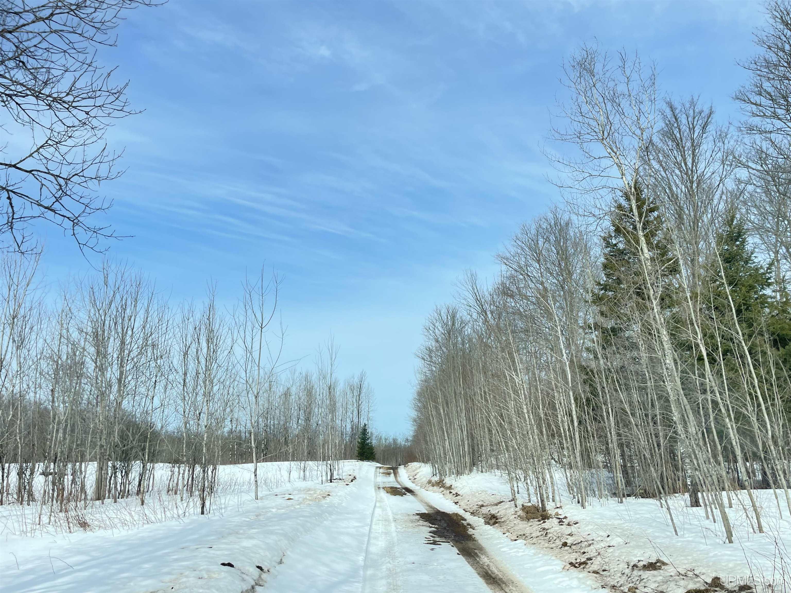 E3985 East 23rd Road Chatham, MI 49816 - Photo 27 of 33