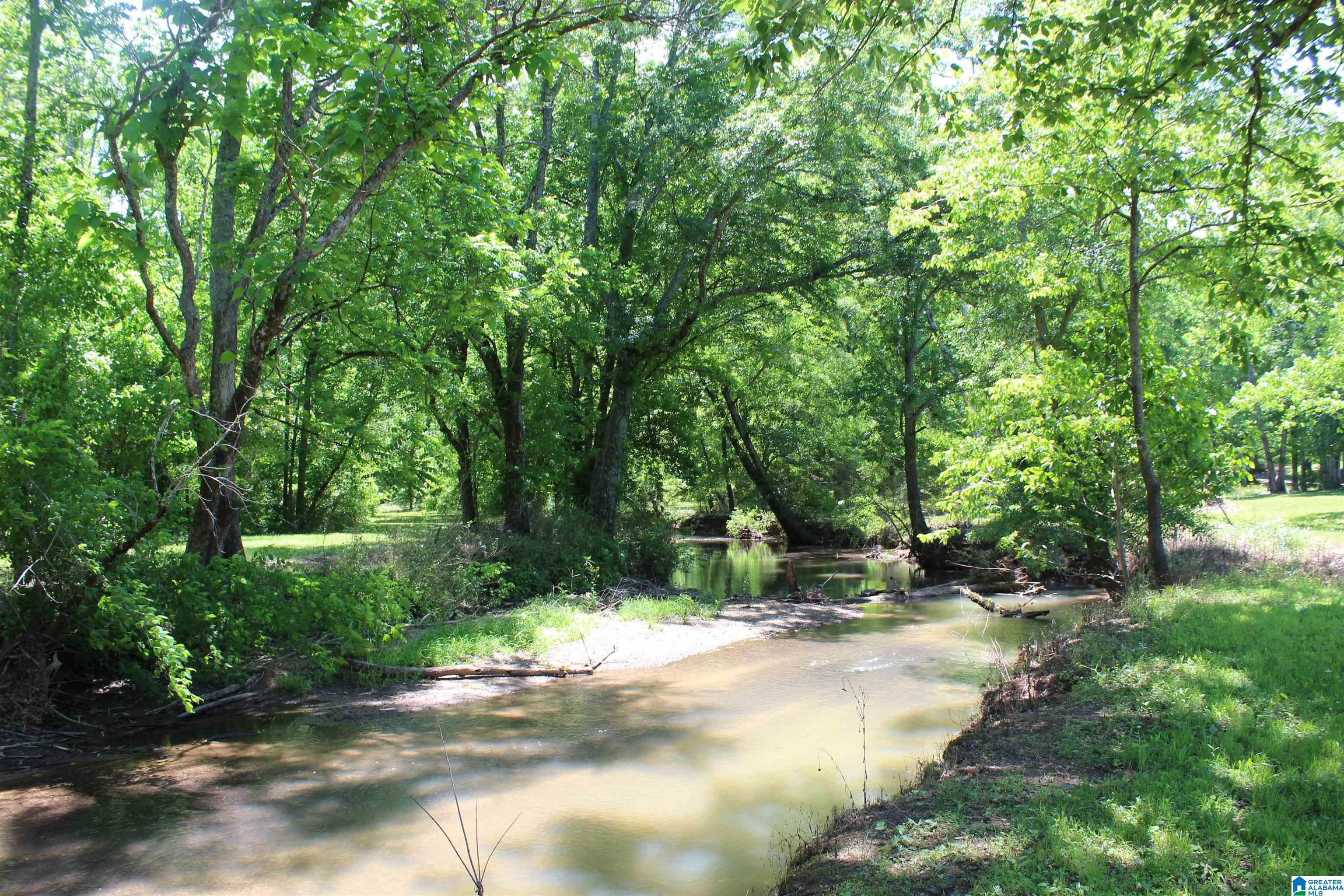 1680 Highway 174 Springville, AL 35146 - Photo 10 of 97