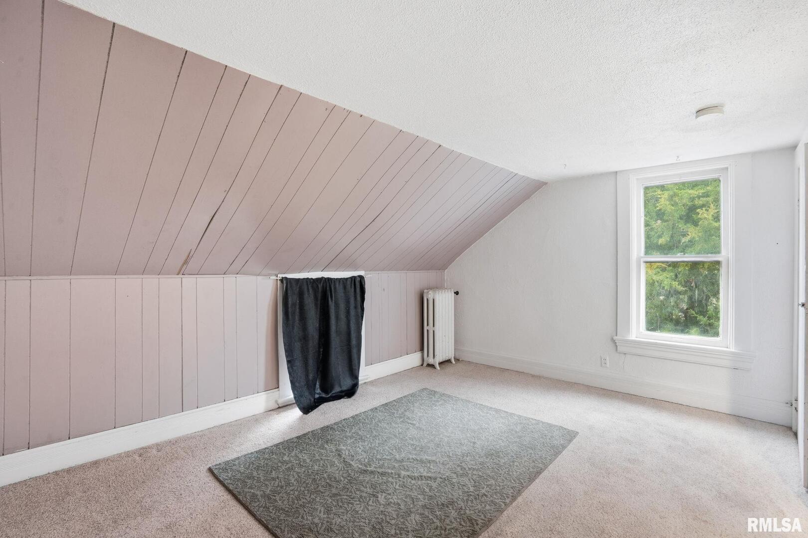 903 17th Street Rock Island, IL 61201 - Photo 14 of 24