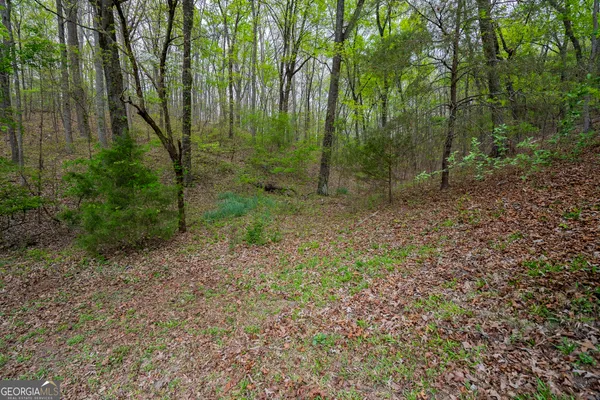 $185,000 | 202 Fair Street, Summerville, GA 30747