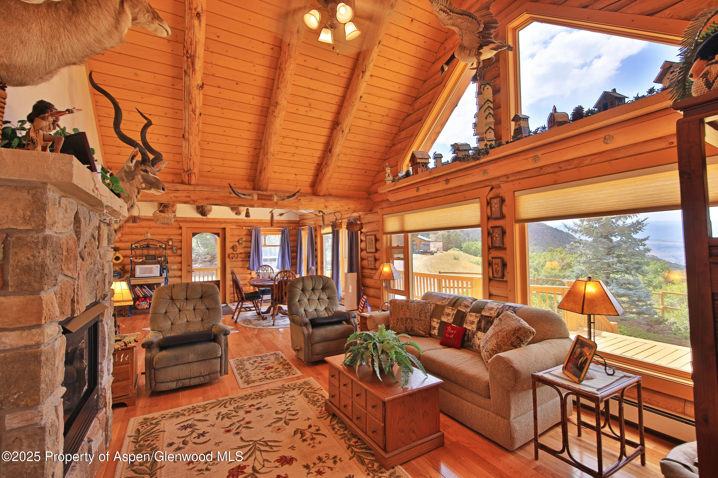 18842 58 6/10 Road Collbran, CO 81624 - Photo 13 of 50 13 Mountain Property For Sale on Western