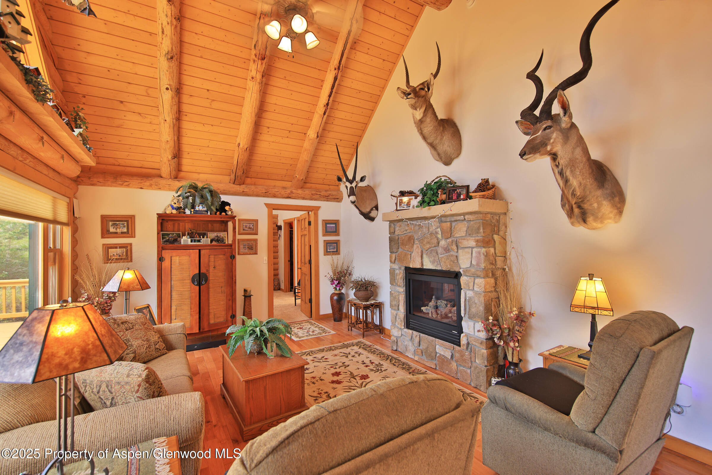 18842 58 6/10 Road Collbran, CO 81624 - Photo 15 of 50 15 Mountain Property For Sale on Western