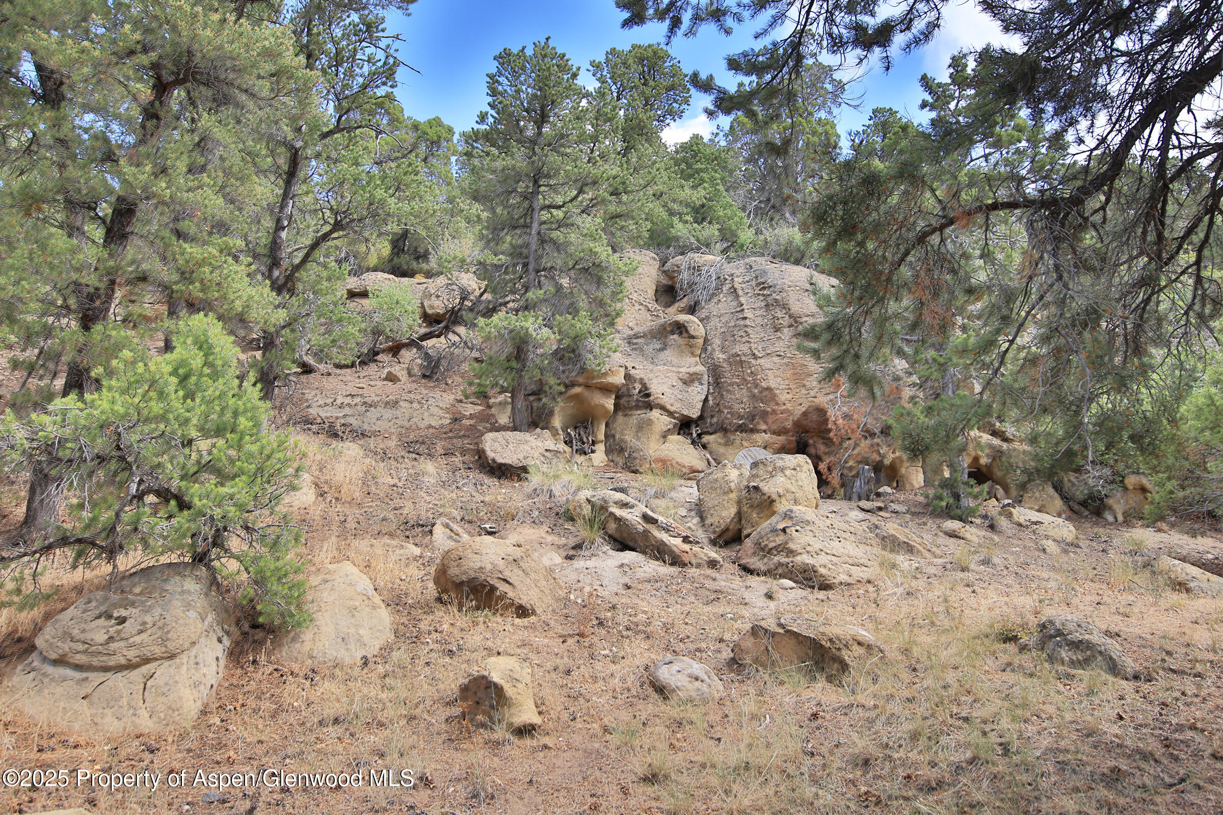 18842 58 6/10 Road Collbran, CO 81624 - Photo 37 of 50 38 Mountain Property For Sale on Western