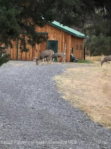 a view of a backyard of the house