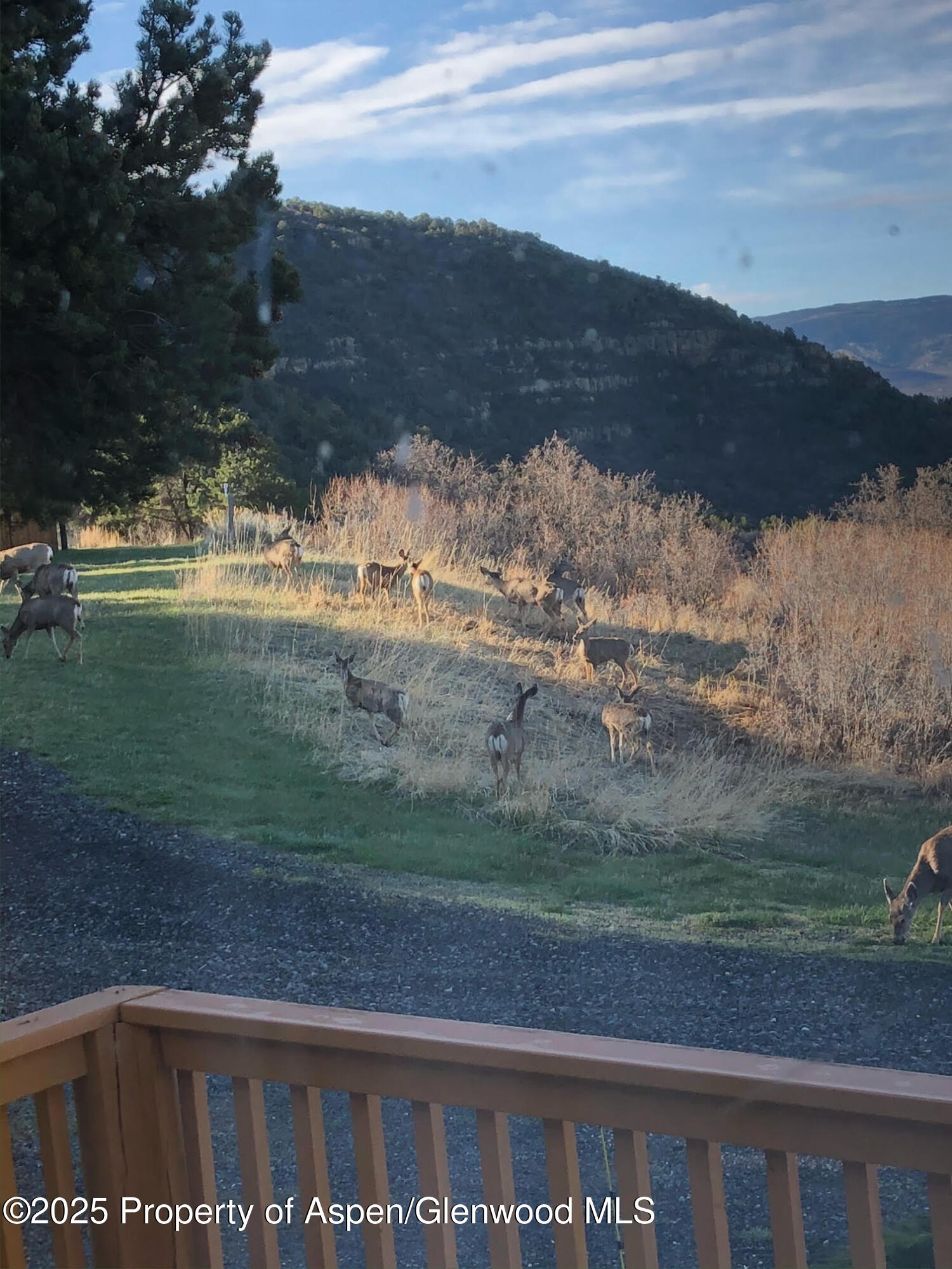 18842 58 6/10 Road Collbran, CO 81624 - Photo 47 of 50 48 Mountain Property For Sale on Western