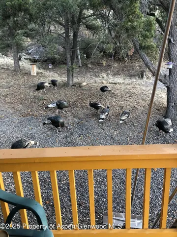 $950,000 | 18842 58 6/10 Road, Collbran, CO 81624