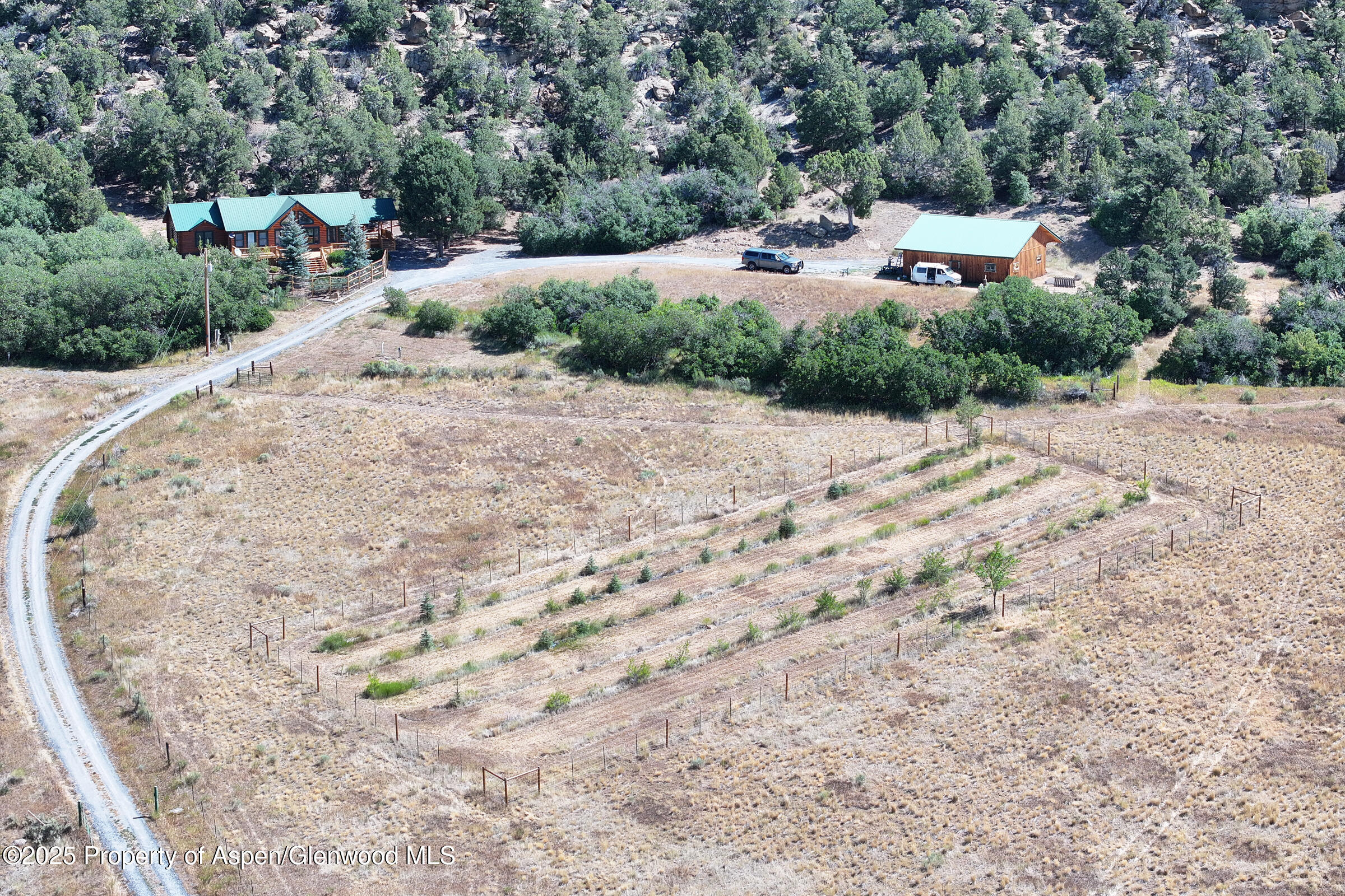 18842 58 6/10 Road Collbran, CO 81624 - Photo 5 of 50 5 Mountain Property For Sale on Western