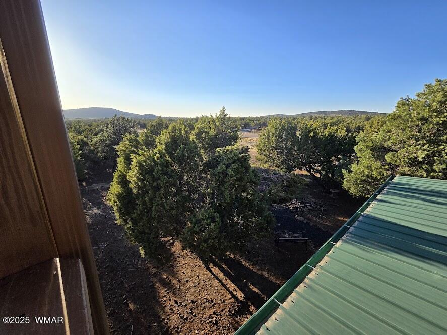 16 ACR 3116 Show Low, AZ 85901 - Photo 37 of 73 20250521_181552